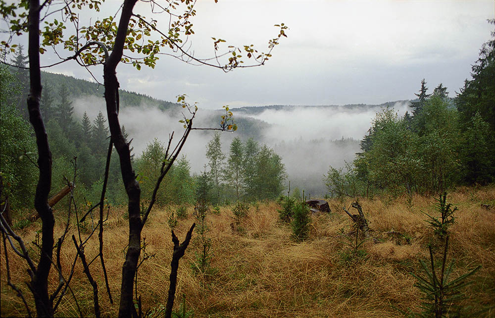 Krušné hory, déšť, mlha, Loučná (Jindřichovice)