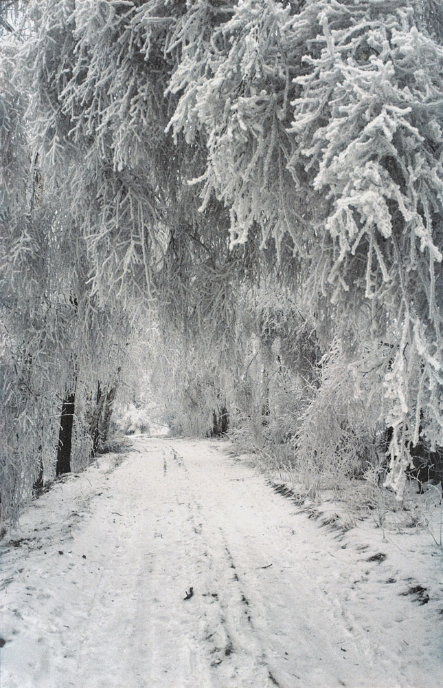 Krušné hory, cesta Loučná (Jindřichovice) – Oloví (Kraslicko)