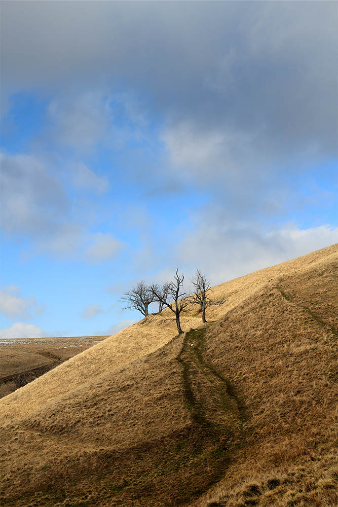 Krušné hory, Moldava